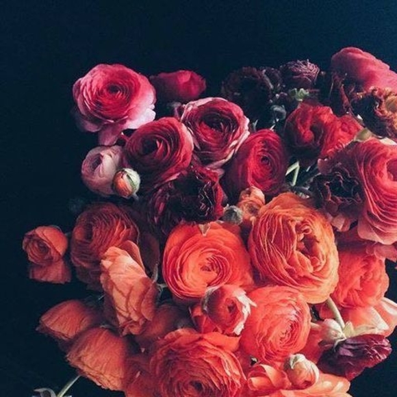 Meet your Posher, Munkhuush - Picture 1 of 1